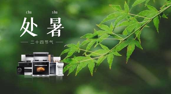 處暑 | 告別“蒸桑拿”，在廚房邂逅科恩集成灶